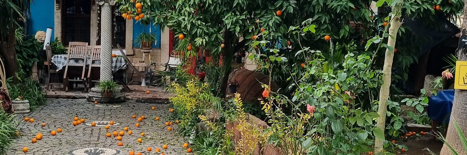 Manolya Gürocak banner