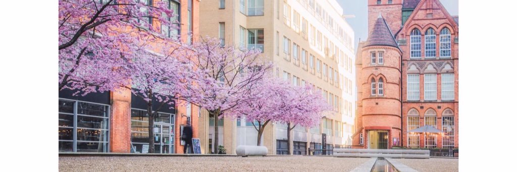 Hippychoc 💜 banner