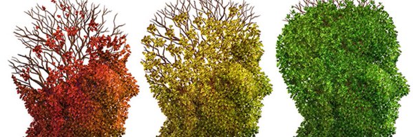 GCUHealthPsych Profile Banner
