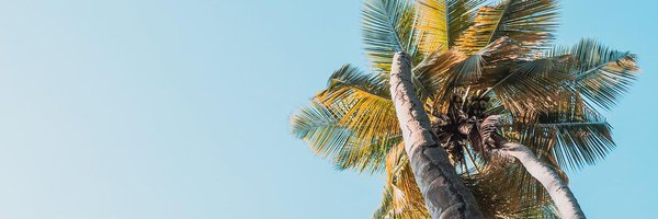 origencata Profile Banner