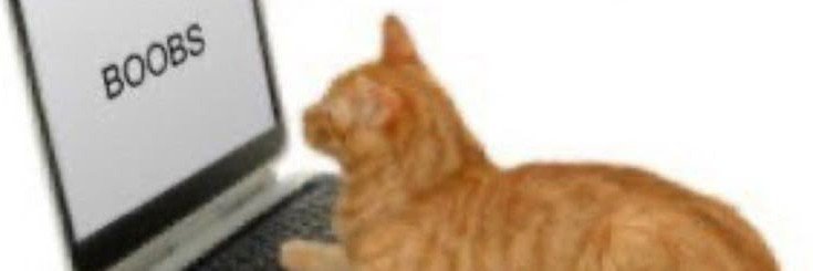 estiloneobuchon's profile banner image