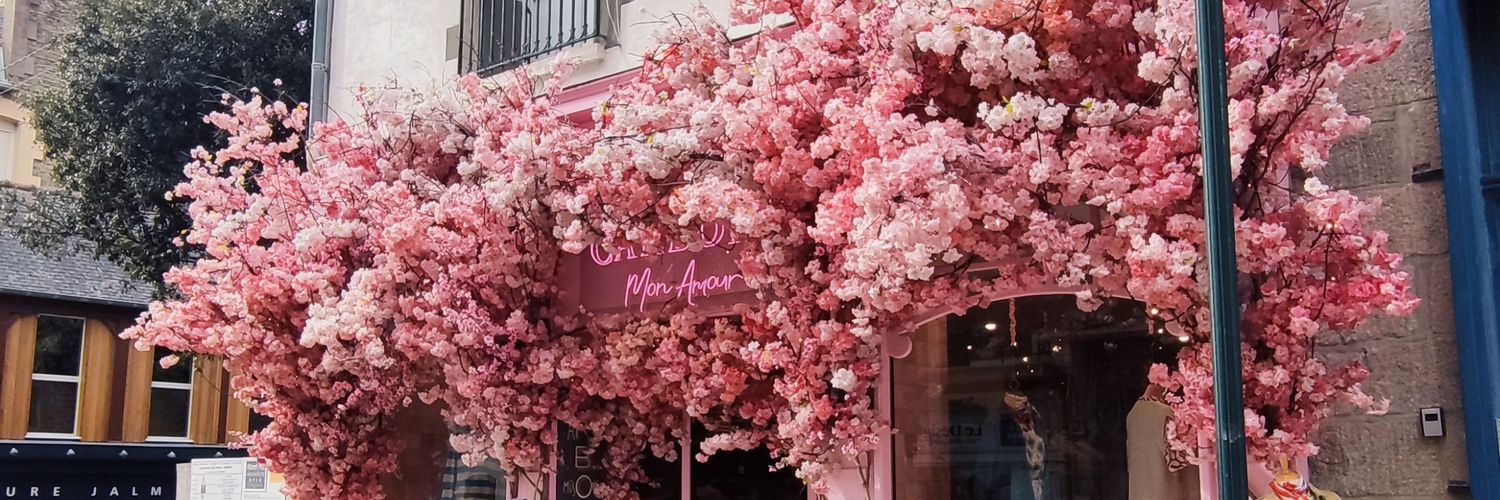Lauraa_Manceau's profile banner image