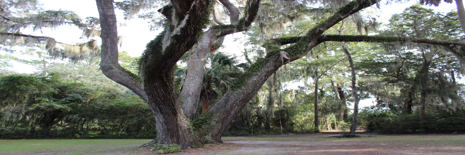 Georgia Association of Historians banner