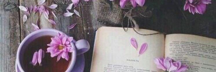 lenaaa224317's profile banner image