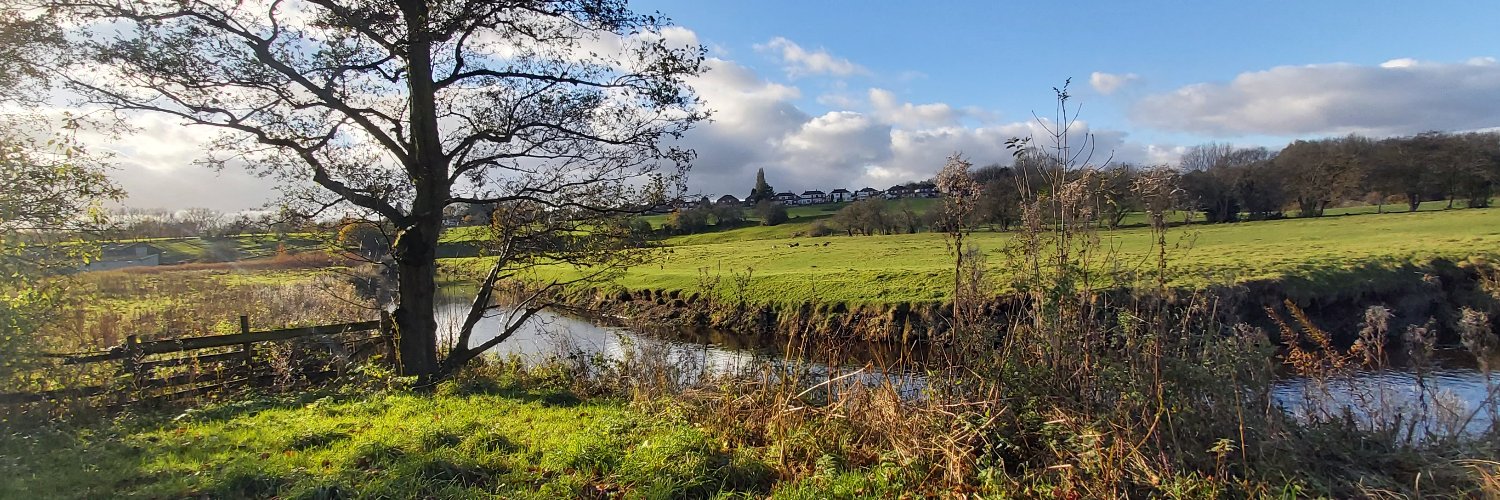 Steve Anderson investing not day gambling banner