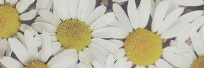 btrzprlta's profile banner image