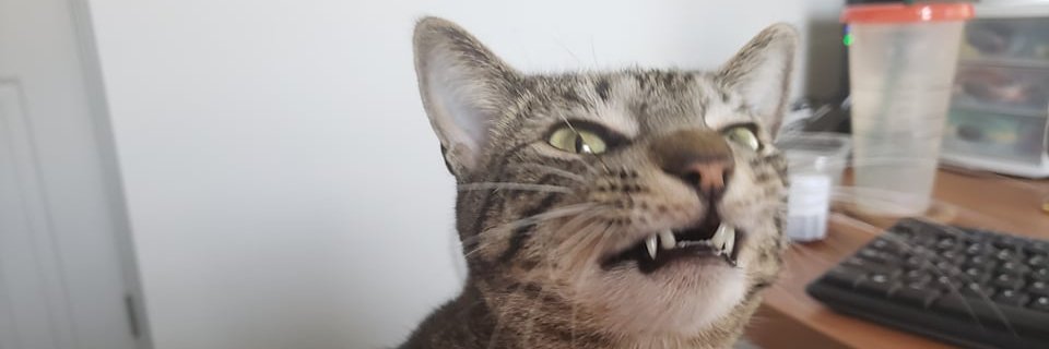 irrelevant_bg's profile banner image