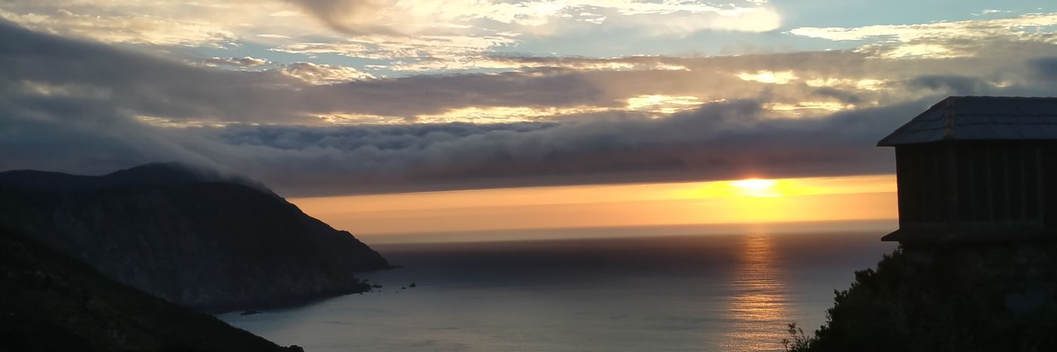 🖤 banner
