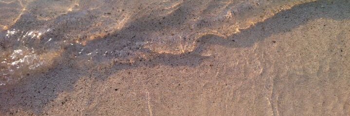 wony | WTS PC, Album nct banner