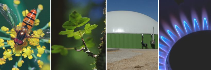 Solagro_asso's profile banner image