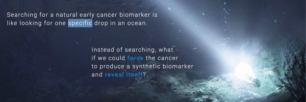 goearli Profile Banner