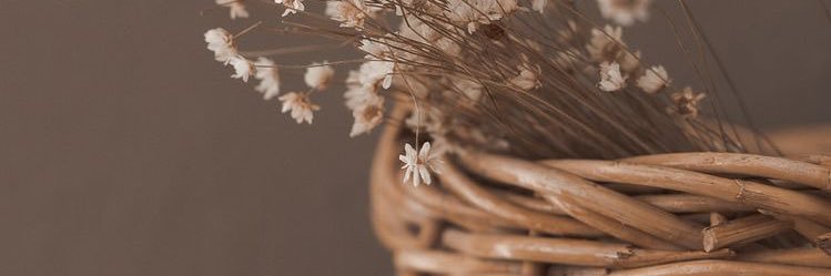 Chay10101's profile banner image