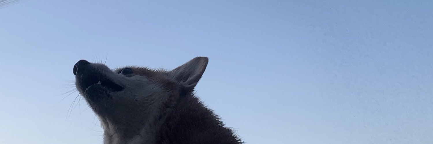 __1054s's profile banner image
