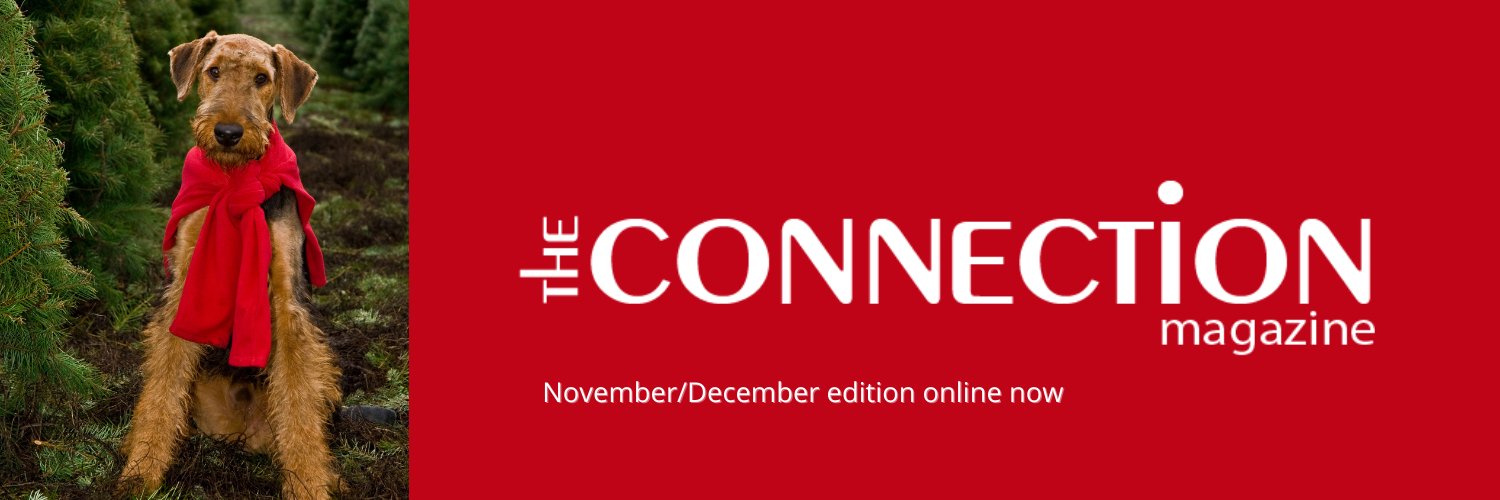 The Connection Magazine banner