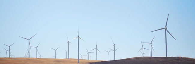 Matthias Arenskoetter banner