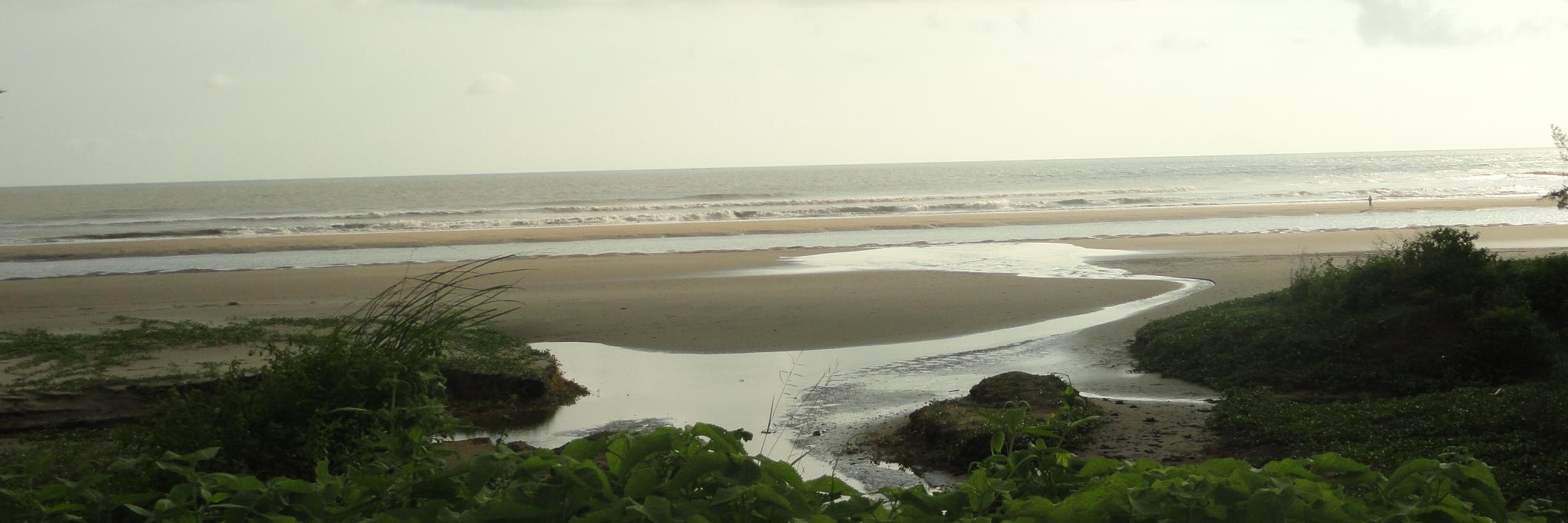 dchasan's profile banner image