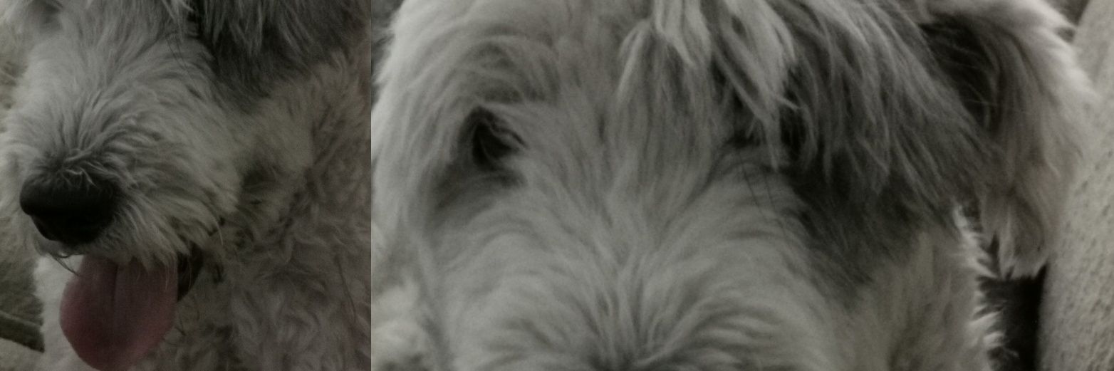 Pablomndza10's profile banner image