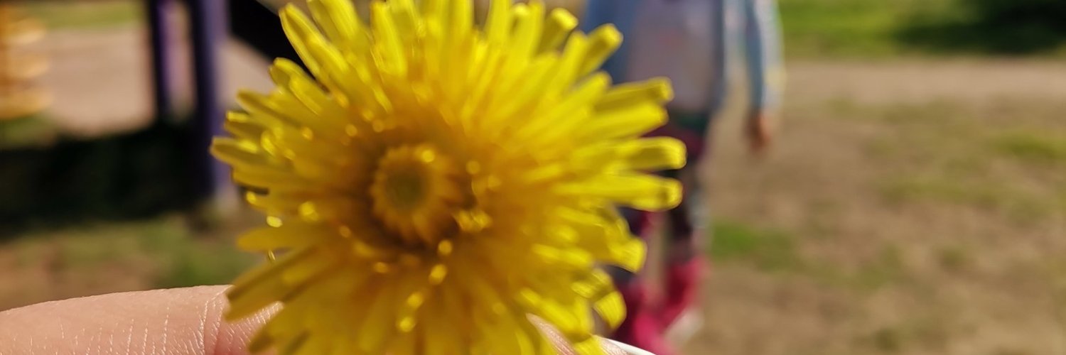 NoheRN's profile banner image