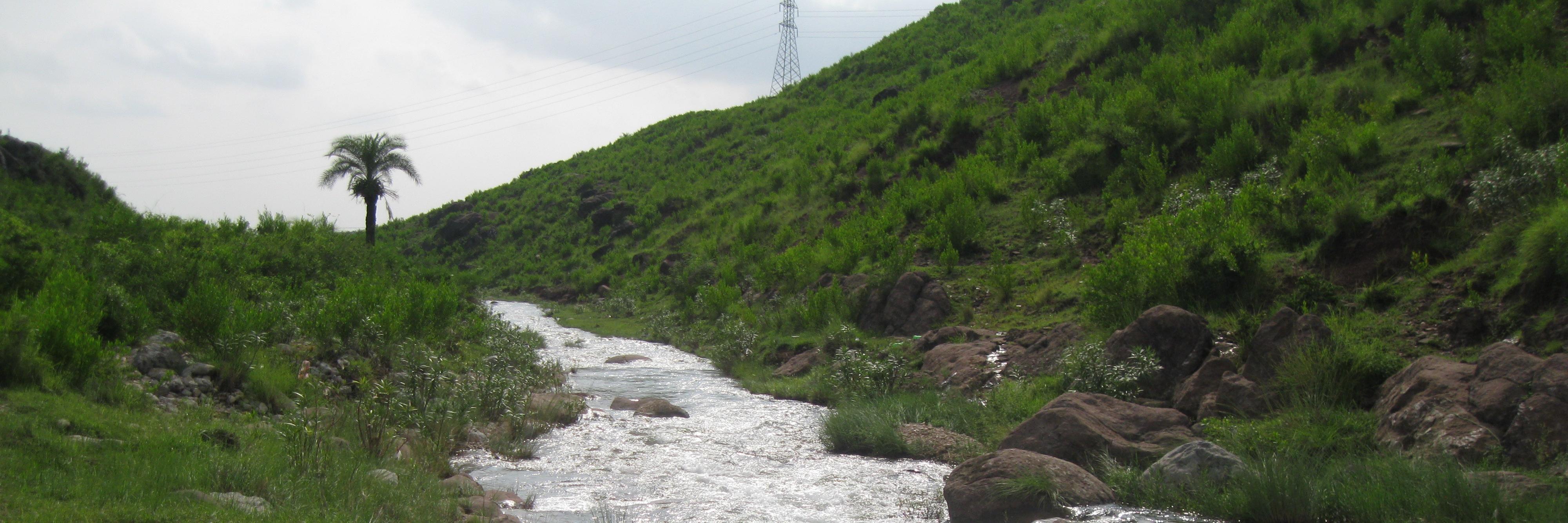 Muddassar Sindhu banner