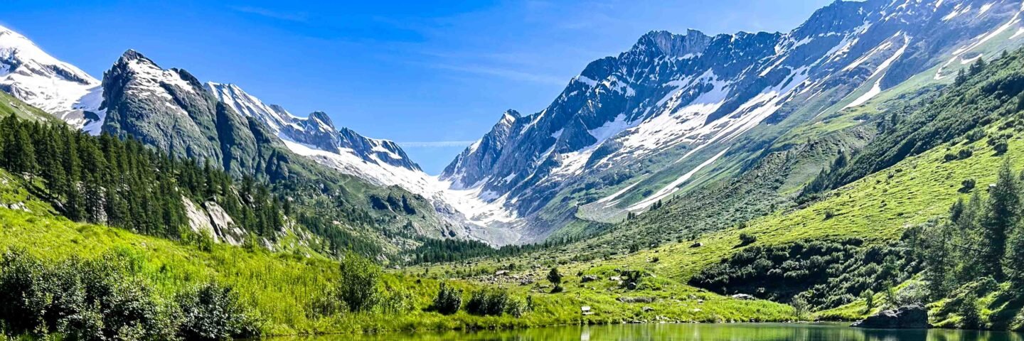 Michiel van der Meer banner