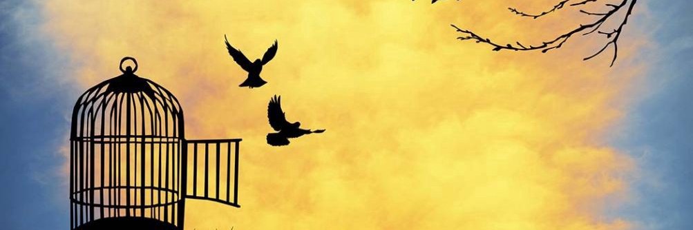 CelsiusGrow's profile banner image