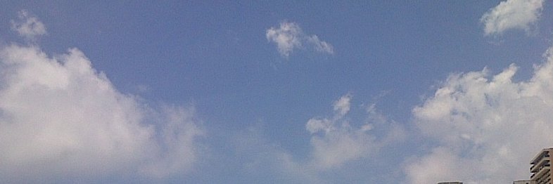 Nellybeth's profile banner image