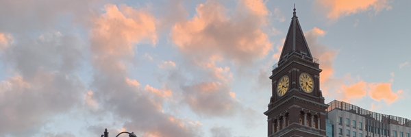 LittlePupTice Profile Banner