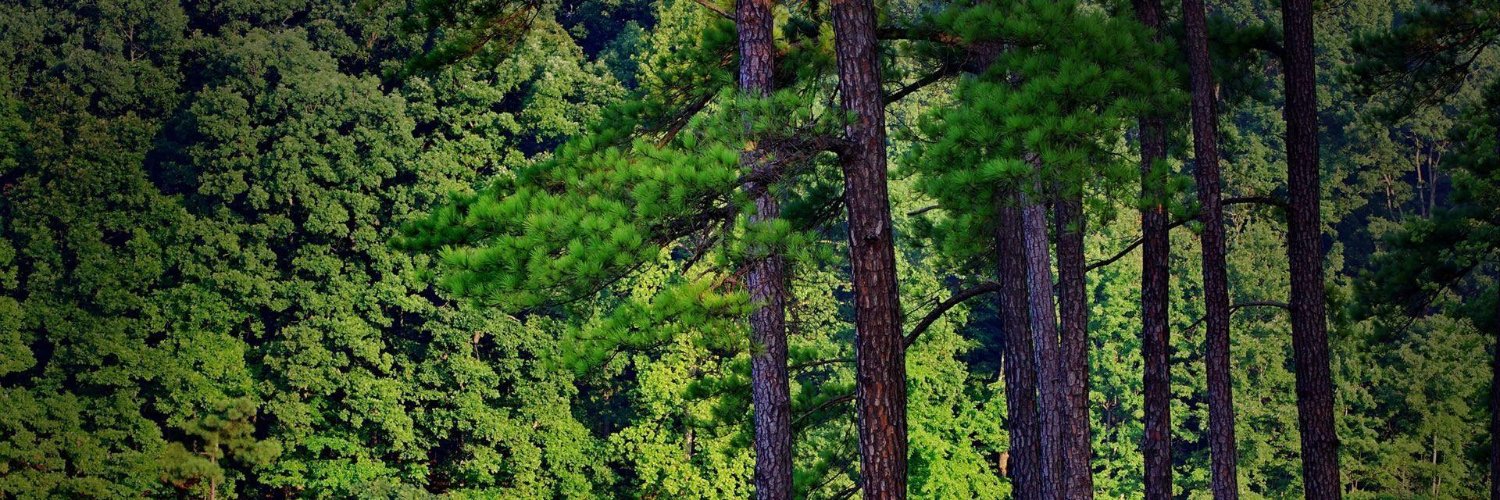 Hajar Abu Alrob banner