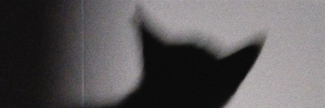 gedesaka's profile banner image