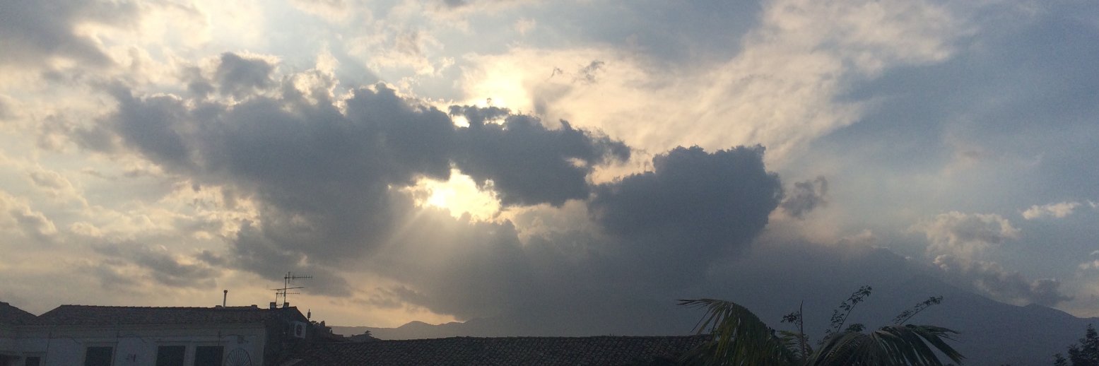 Dr Ingeborg van Knippenberg banner