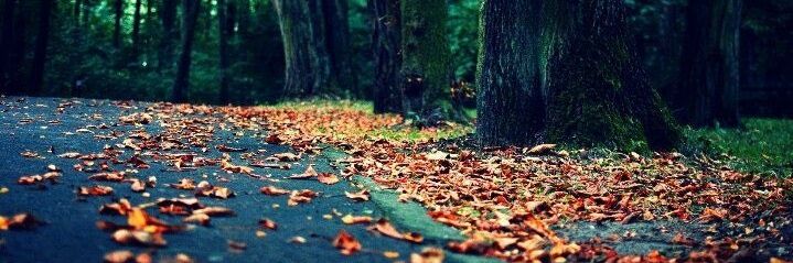 Alhalabi_999's profile banner image