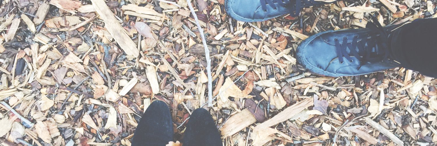 sareish's profile banner image
