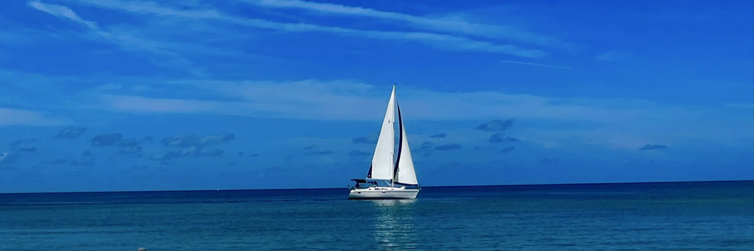 Bridget in FL🌴's banner