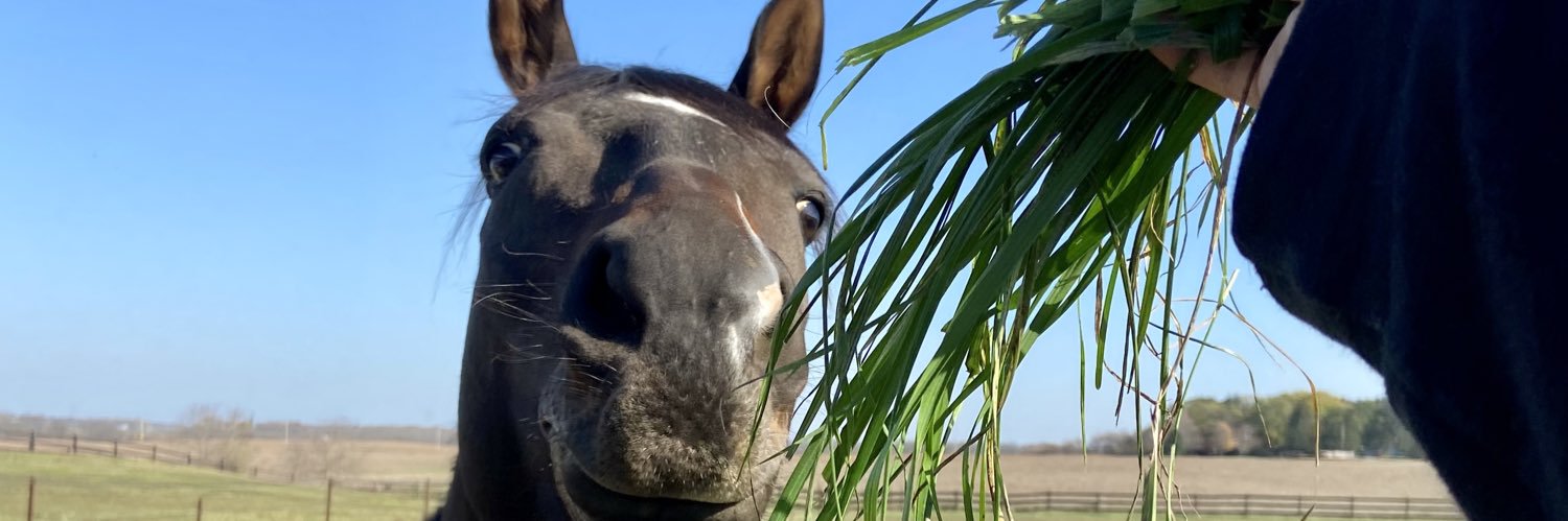 down bad and beatable banner