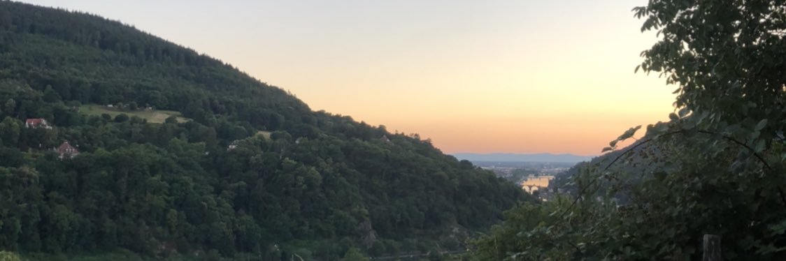vincentweeets's profile banner image