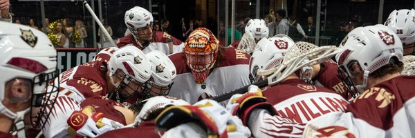 AlbFireWolves Profile Banner