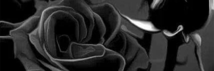 alanurdemi's profile banner image