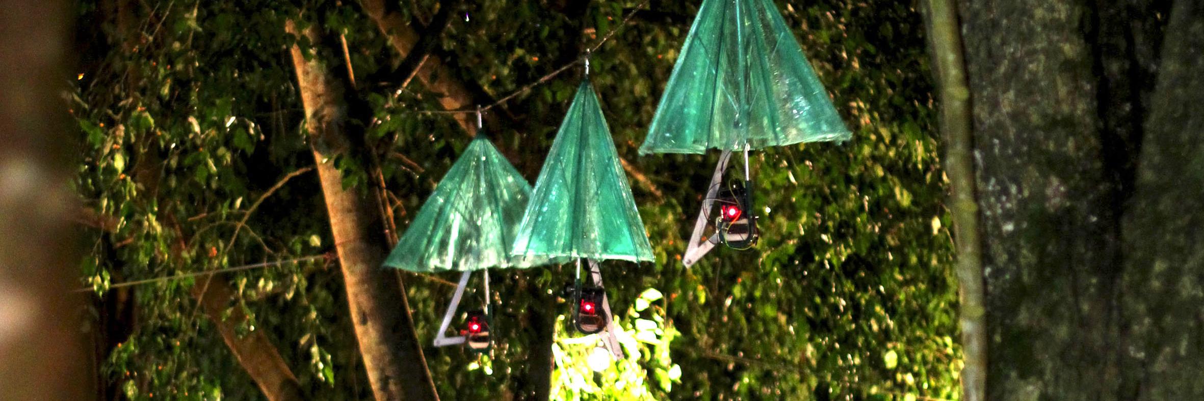 Ricardo Brazileiro banner