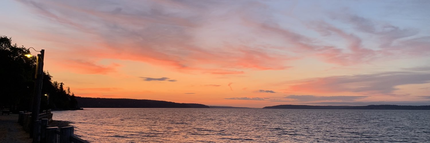 TheSunshineVitamin banner