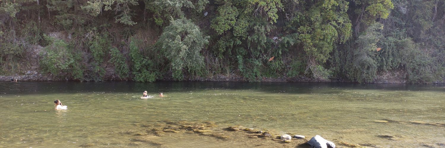 Danilo banner