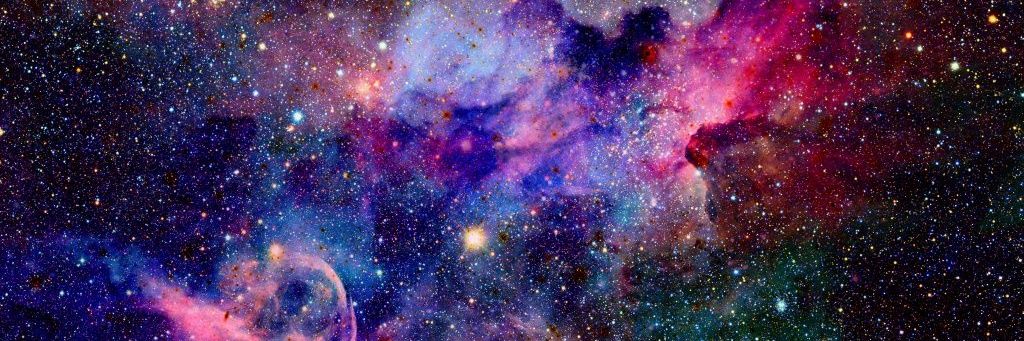 Shiba lover 🔥 banner