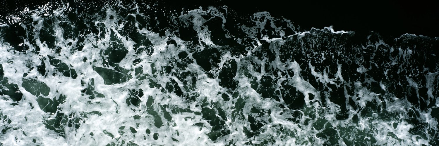 Ocean𓅃Ridge's banner