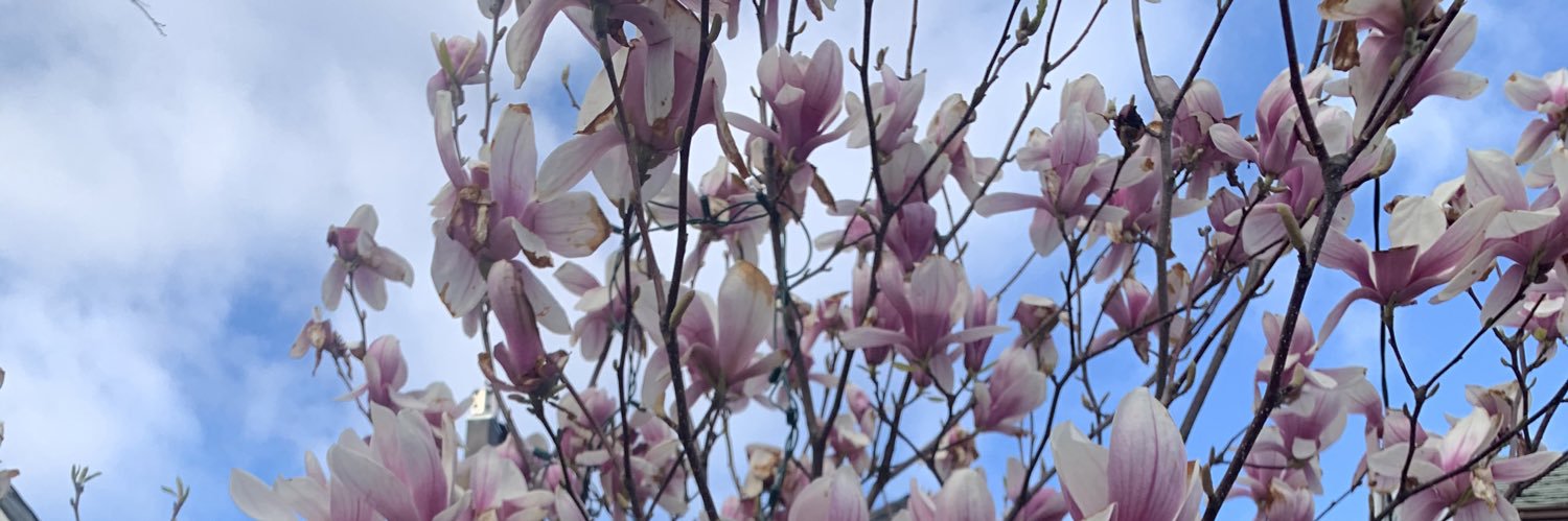 ㅤㅤ banner
