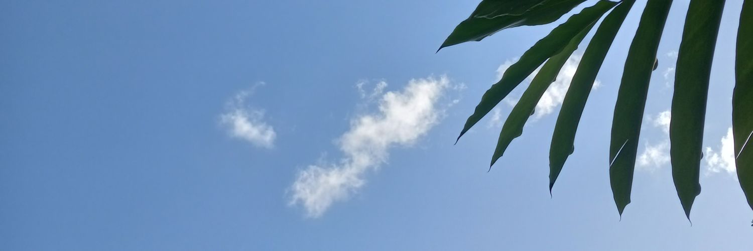 Vishtany's profile banner image