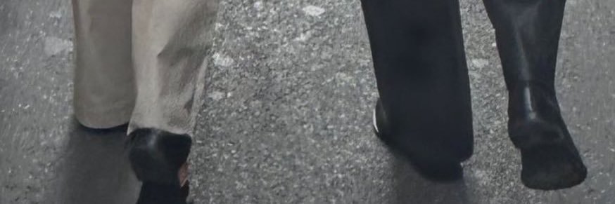 *≧Dangerous≦* banner