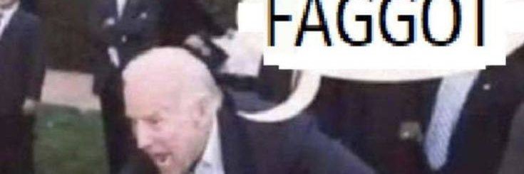 goofy silly racc (🏳️‍🌈HAPPY PRIDE MONTH🏳️‍⚧️) banner