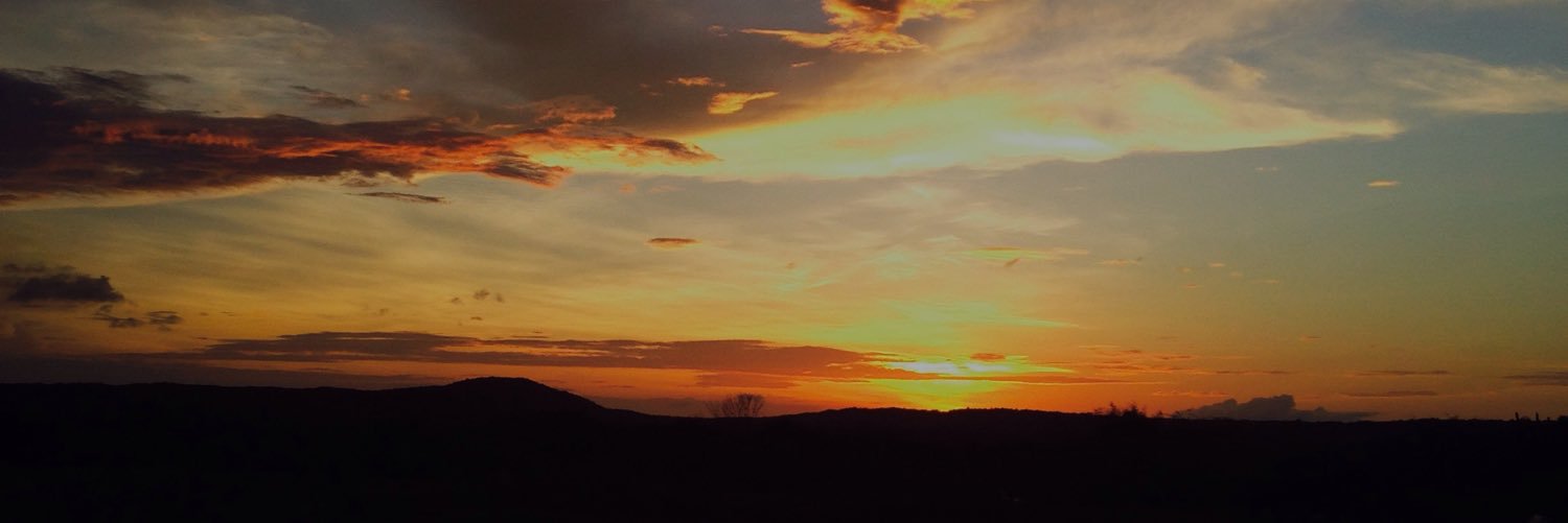 rosyjauregui's profile banner image