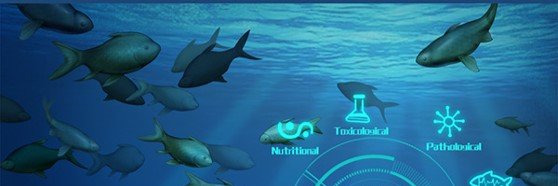 Reviews in Aquaculture banner