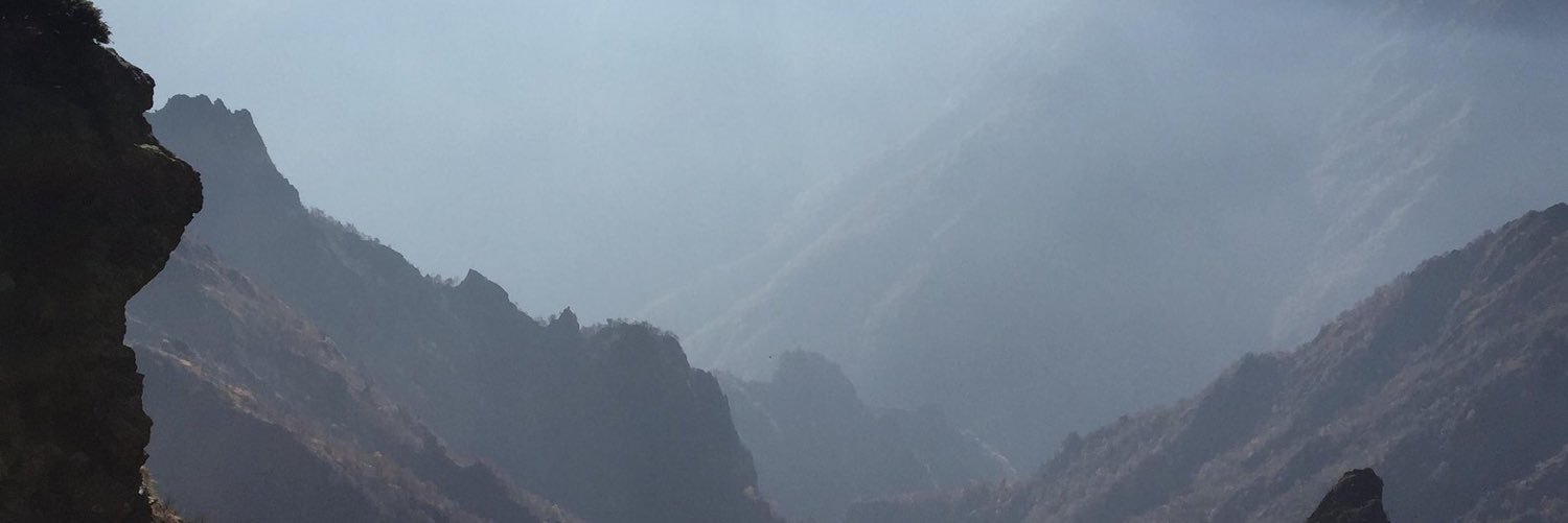 pittbulla's profile banner image