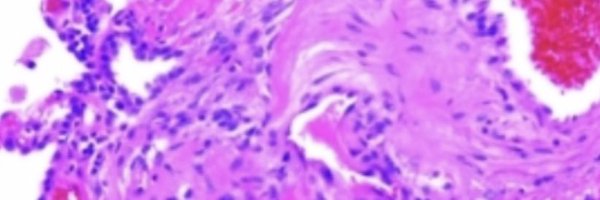 JournalClubPH Profile Banner